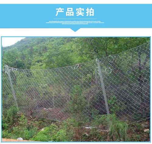 广安市被动防护网PPS 075边坡防护网厂家