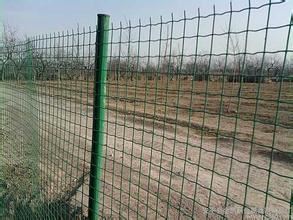 钢丝网围墙双边丝护栏网浸塑护栏网厂家直销