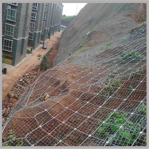 施工主动边坡防护网被动环形钢丝绳防落石菱形围网厂家